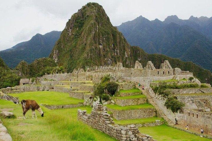 Tour Machu Picchu Full Day desde Cusco