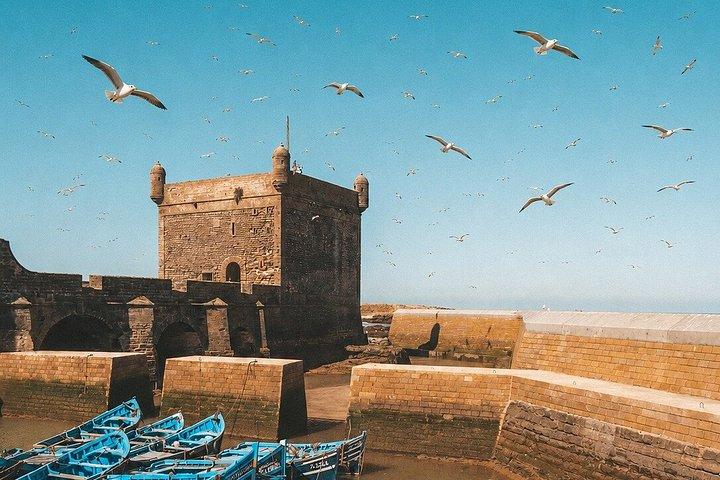 Excursion d'une journée de Marrakech à Essaouira | Petit groupe