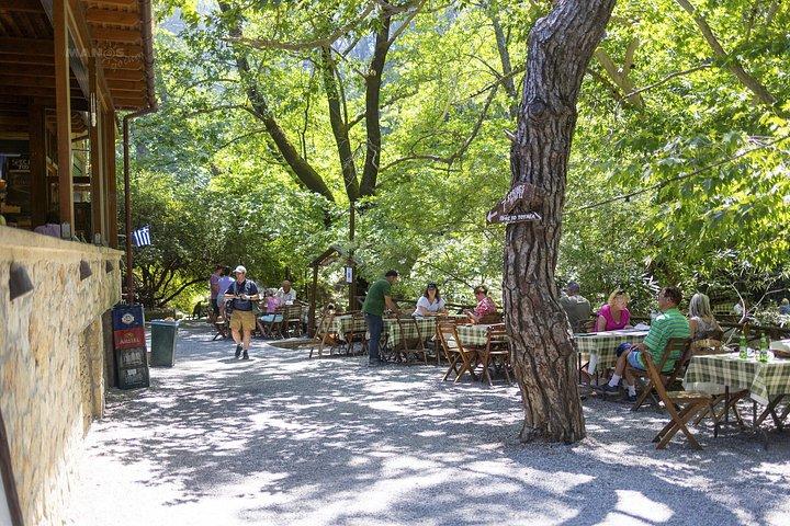 Rhodes : バタフライバレー＆セブンスプリングス自然日帰り旅行
