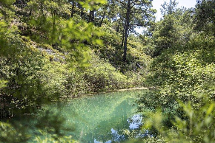 Rhodes : バタフライバレー＆セブンスプリングス自然日帰り旅行