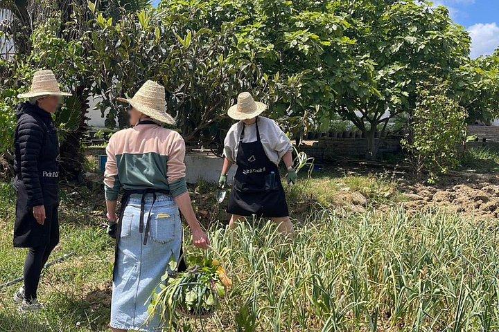 Tangier Garden Workshop and Moroccan Tea Experience