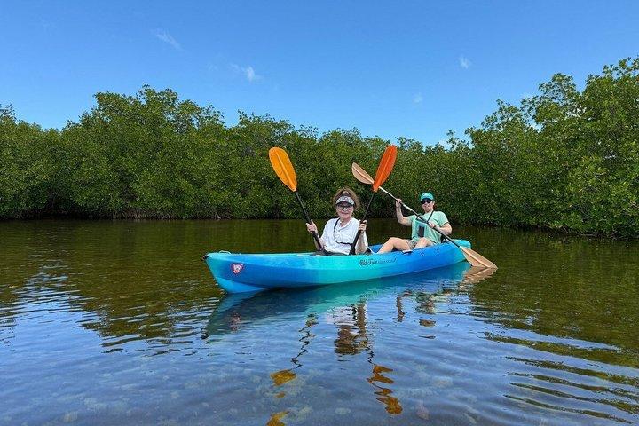 Excursion de 2 heures en kayak de labyrinthe de mangrove à Key West