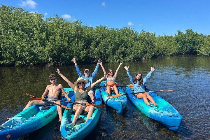Excursion de 2 heures en kayak de labyrinthe de mangrove à Key West