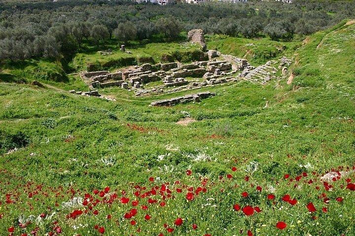 ナフプリオまたはアテネ発古代スパルタ古代コリントスプライベートツアー