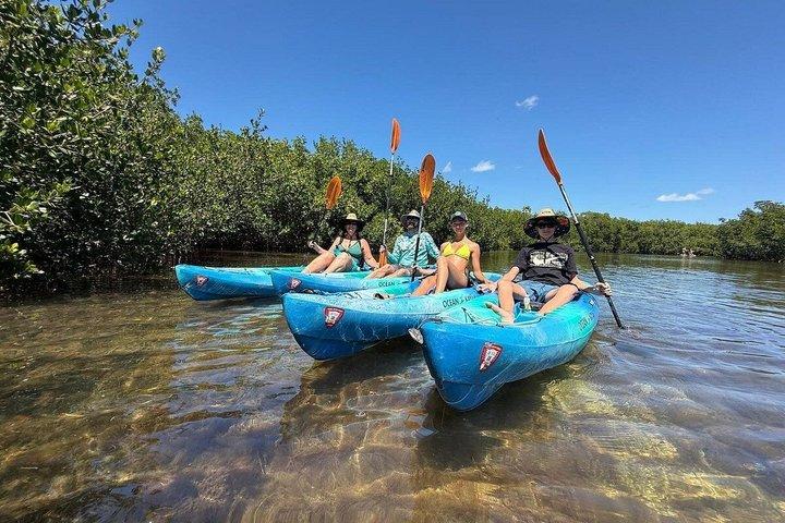 Excursion de 2 heures en kayak de labyrinthe de mangrove à Key West