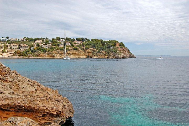 Dolphin Watching from Palma de Mallorca