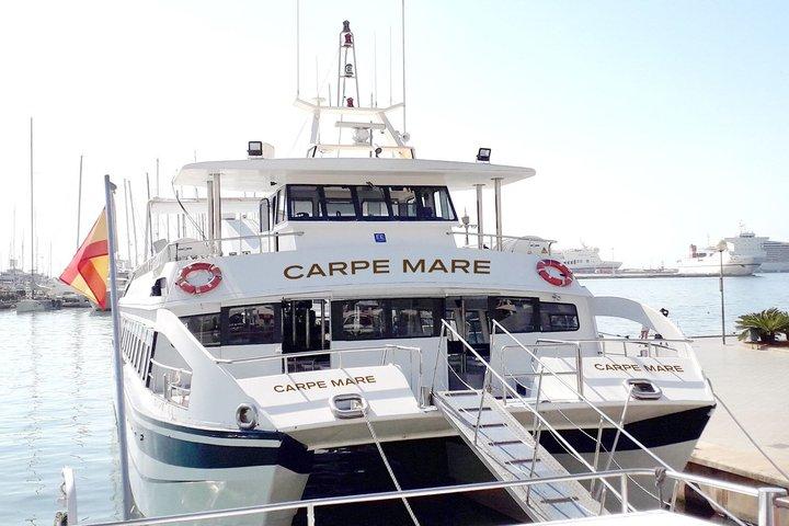 Avvistamento di delfini da Palma di Maiorca