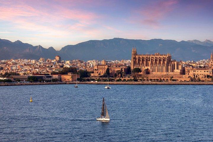 Dolphin Watching from Palma de Mallorca