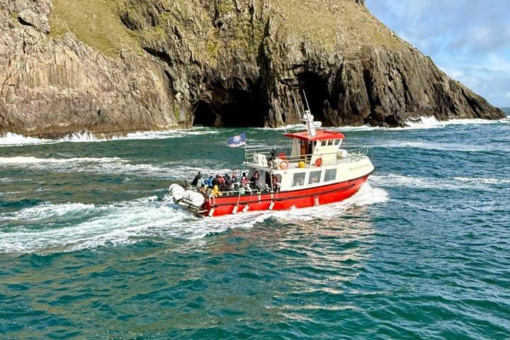 2-timers guidet mini-øko-tur i Dingle, Irland