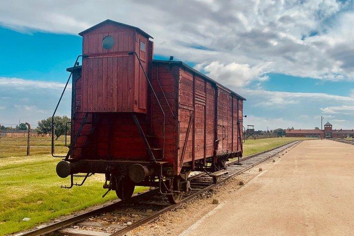 Auschwitz-Birkenau Visita guiada desde Cracovia/Minivan Grupo pequeño