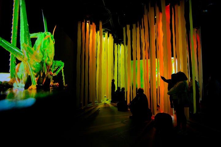 カリフォルニア科学アカデミーのナイトライフ