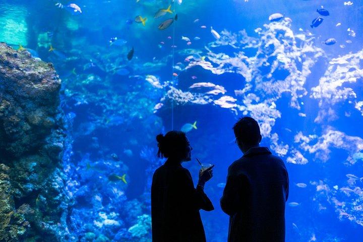 カリフォルニア科学アカデミーのナイトライフ