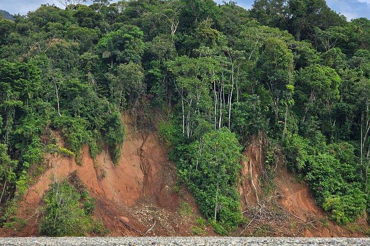 2 Day Manu National Park Adventure Experience