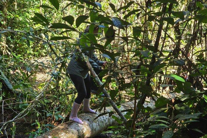 2 Day Manu National Park Adventure Experience