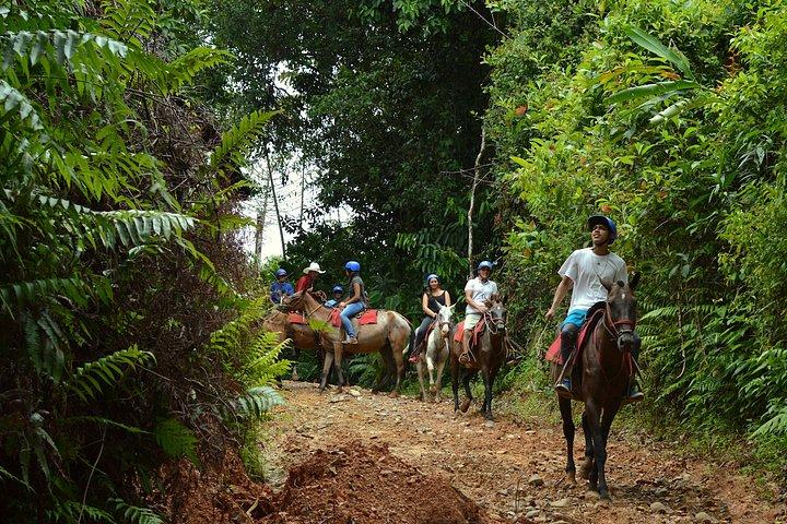 Ridning och vattenfall från Manuel Antonio