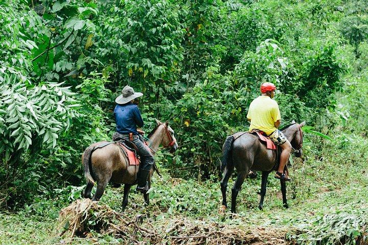 Ridning och vattenfall från Manuel Antonio