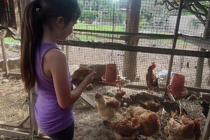 本物のペルーを味わおう：ライブクッキング、パソ馬、そして農場生活