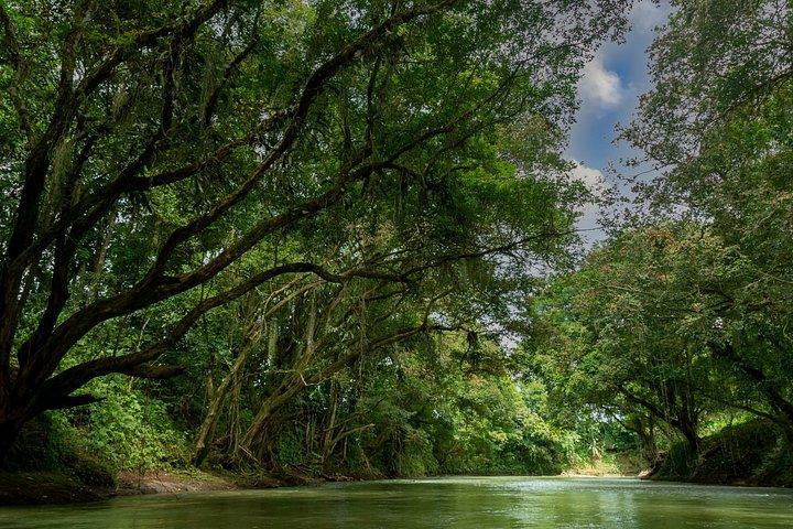 Peñas Blancas River Safari Float from La Fortuna