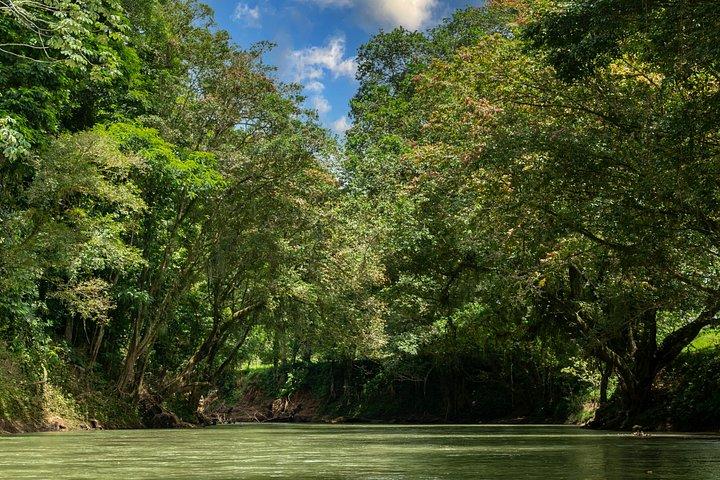 Peñas Blancas River Safari Float from La Fortuna