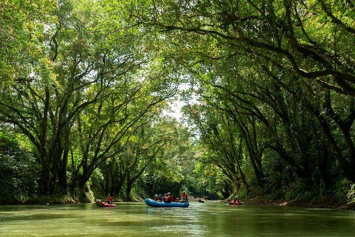 Peñas Blancas River Safari Float from La Fortuna