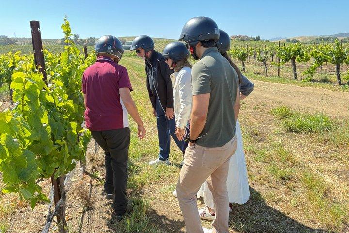 Excursión a la Ruta del Vino de Lujo San Luis Obispo