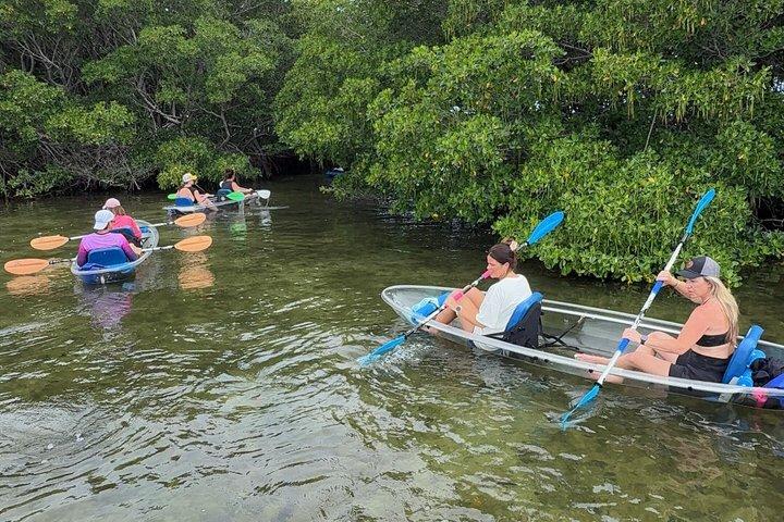 Round Island 2-stündige geführte Kajaktour mit Glasboden