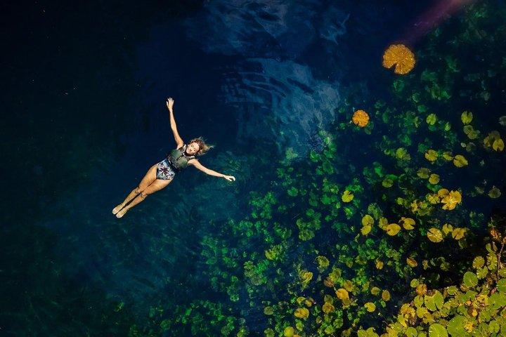 Tour Xenotes Riviera Maya