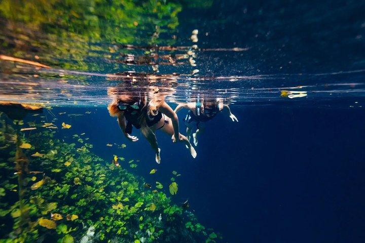 Tour Xenotes Riviera Maya