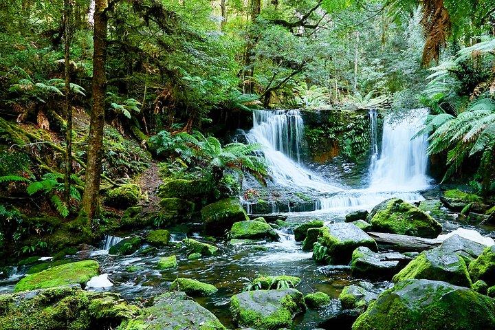 フィールド山、ウェリントン山、ボノロン野生生物保護区、リッチモンド日帰りツアー