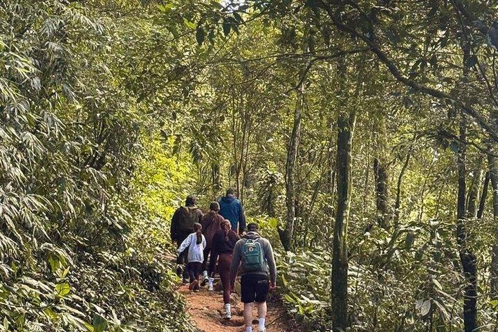 Rio Nature Experience : Tijuca Forest, Mirantes e Vida Selvagem（リオ自然体験：ティジュカの森、ミランテス・エ・ヴィーダ・セルベージェム）
