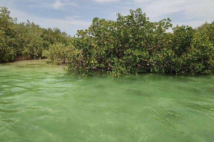 Progreso Beach en Isla Columpios Tour