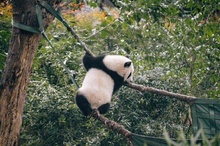 Experimenta Leshan con excursiones en coche y barco compartidos
