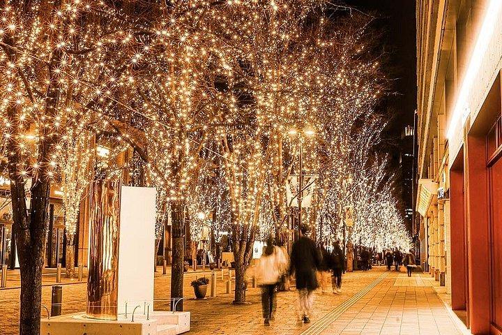 皇居と東京駅を巡る東京散策ツアー