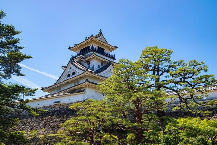 Tour della crociera di Kochi Ryugado Cave Hirome Market Castello di Kochi