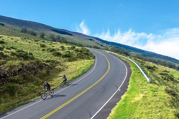 Upcountry Haleakala Bike and Brew Tour