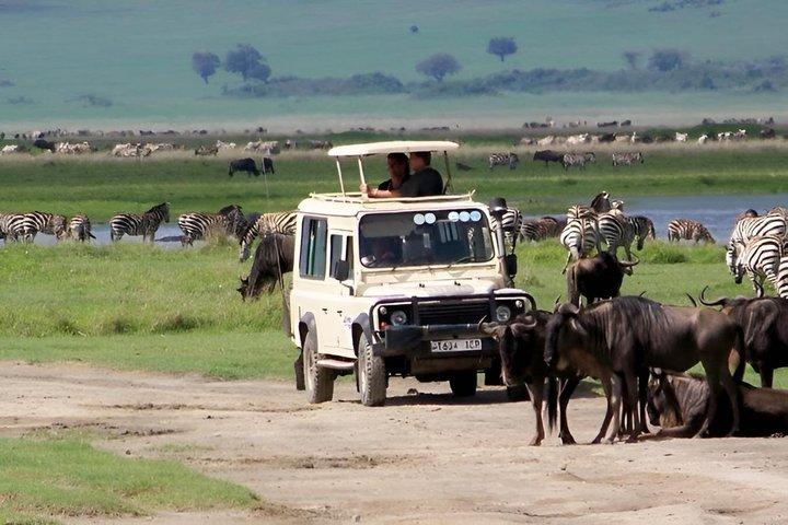 3 Tage private Luxus Masai Mara Safari in die Wildnis mit Stil