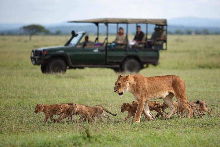 3 Tage private Luxus Masai Mara Safari in die Wildnis mit Stil