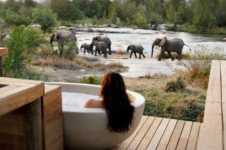 3 Tage private Luxus Masai Mara Safari in die Wildnis mit Stil
