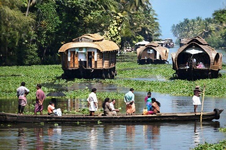 Best of Kerala: 8-Day Private Tour with Hotel & Houseboat Stay