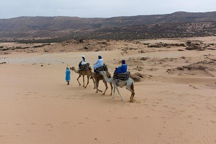 .2-Hour Camel Ride with Tea & Cakes – Souss River