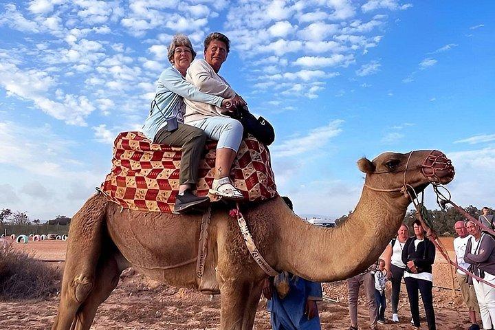 .2-Hour Camel Ride with Tea & Cakes – Souss River