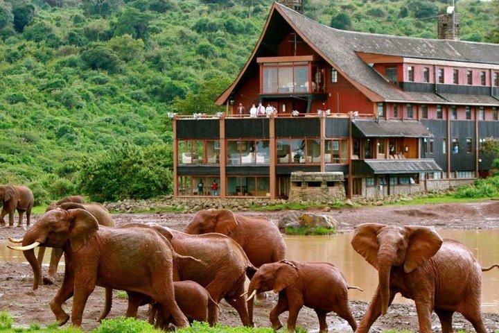 3Días Aberdares y Aguas Dulces Ol Pejeta Santuario de Chimpancés