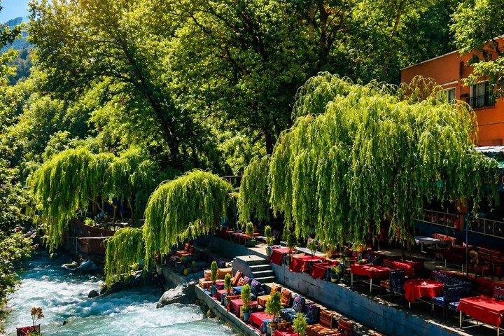 Day Trip to Ourika Waterfalls, Atlas Mountains, Guide + Lunch