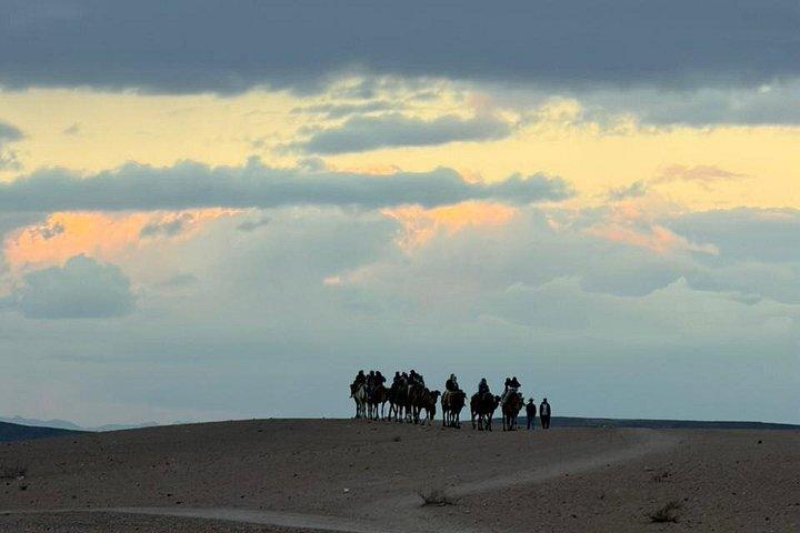 From marrakech :Enjoy Agafay desert pool with Lunch & camel ride
