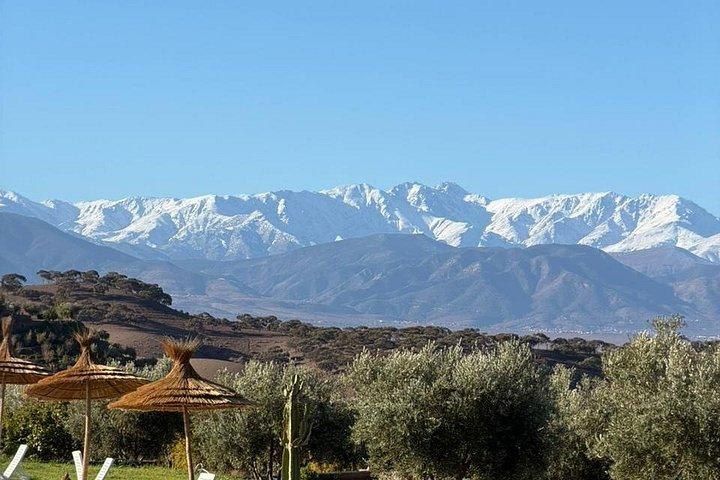 From marrakech :Enjoy Agafay desert pool with Lunch & camel ride