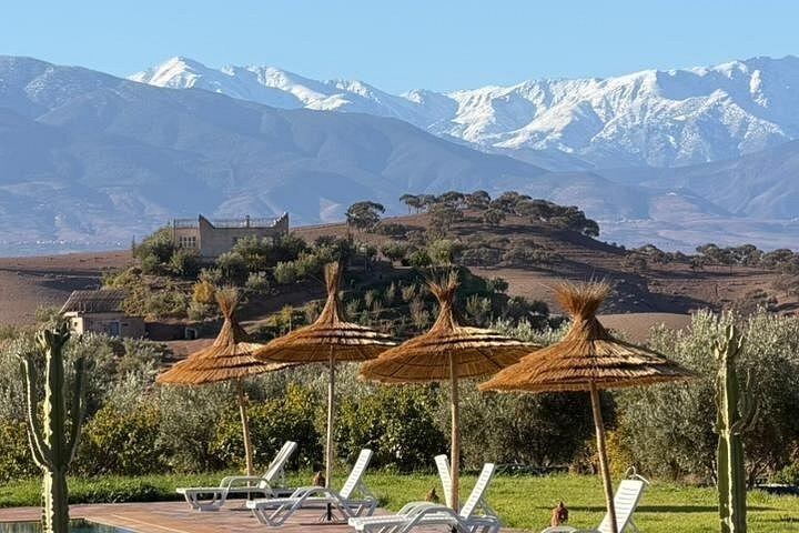 From marrakech :Enjoy Agafay desert pool with Lunch & camel ride