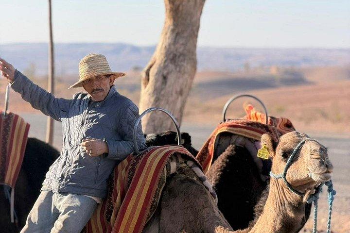 From marrakech :Enjoy Agafay desert pool with Lunch & camel ride