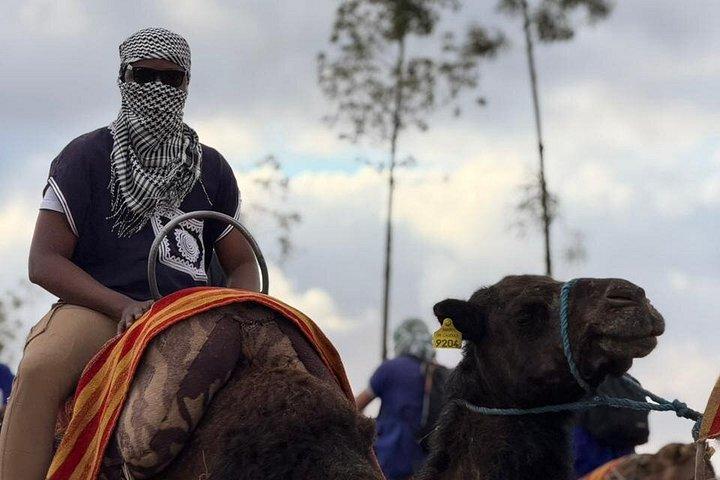 From marrakech :Enjoy Agafay desert pool with Lunch & camel ride
