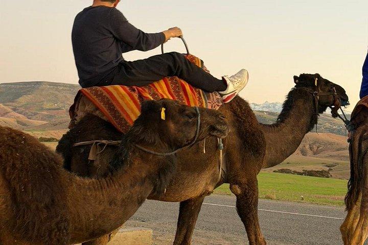 From marrakech :Enjoy Agafay desert pool with Lunch & camel ride