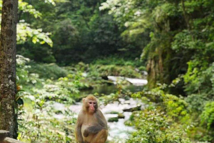 3tägige Avatar-Berge, Tianmen, Furong und Fenghuang Private Tour